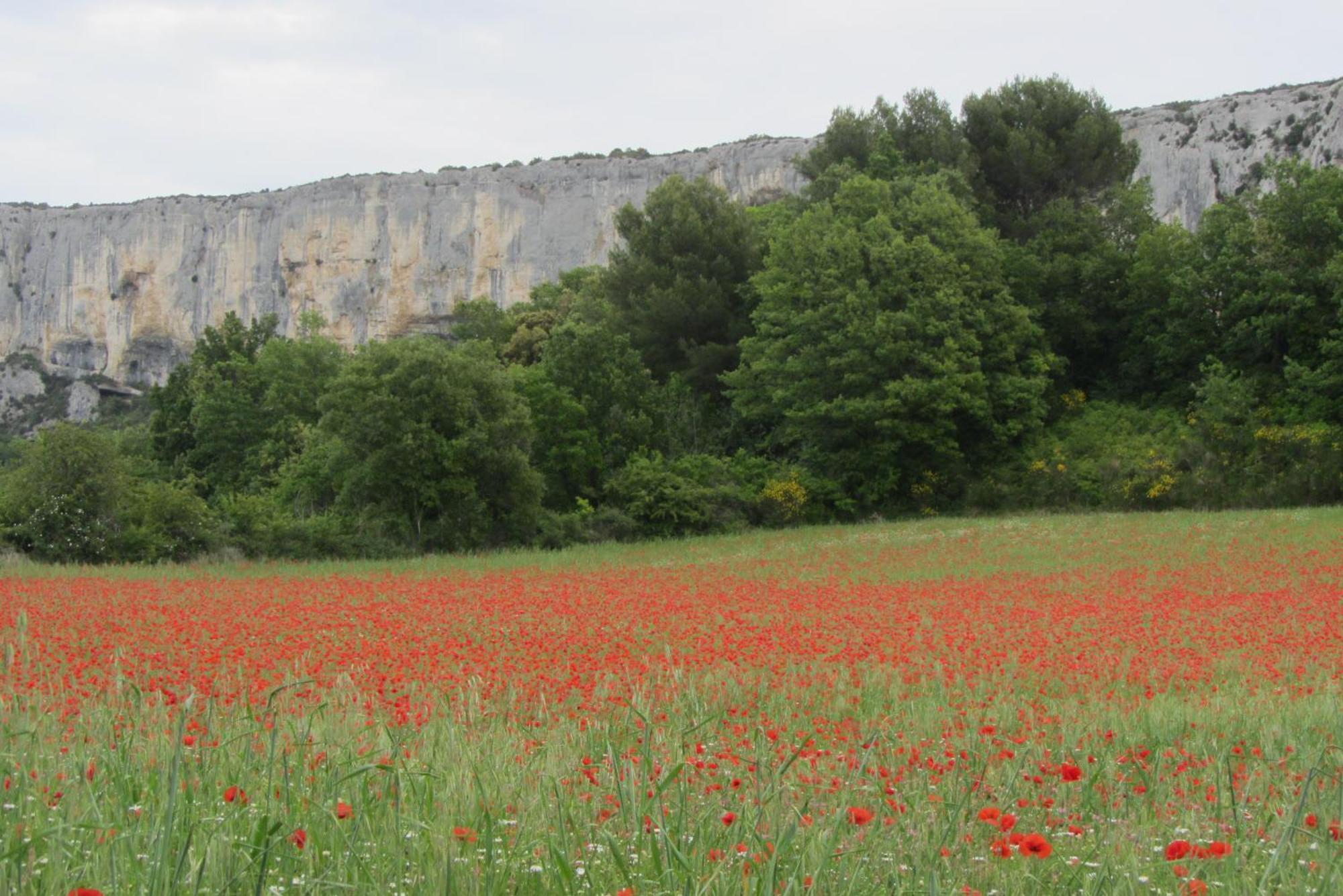 Les Cistes Villa Lioux Kültér fotó