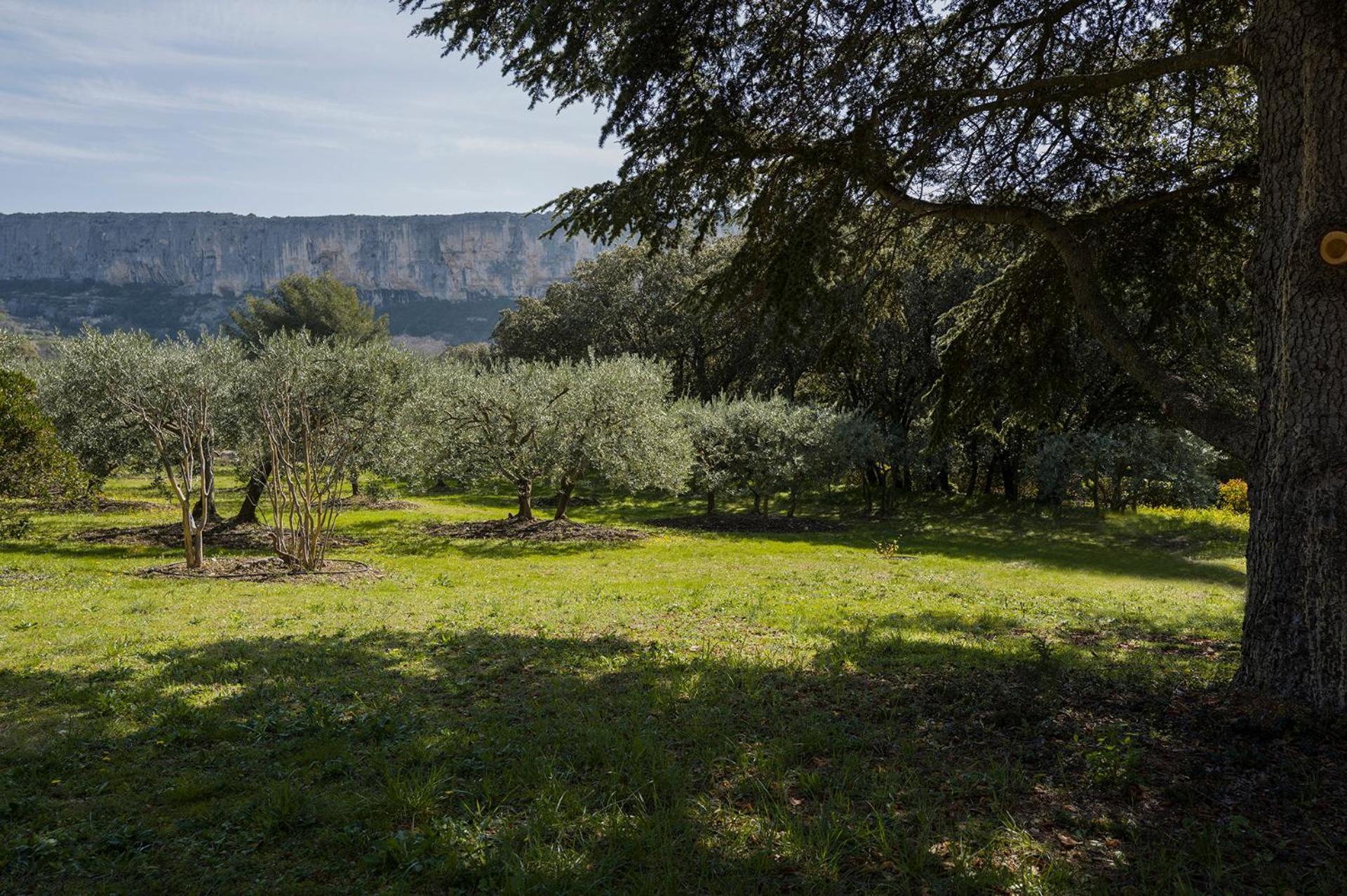 Les Cistes Villa Lioux Kültér fotó