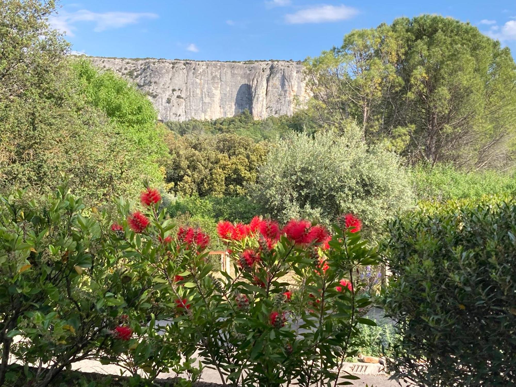 Les Cistes Villa Lioux Kültér fotó